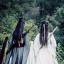 xue-xiao-song-advocate