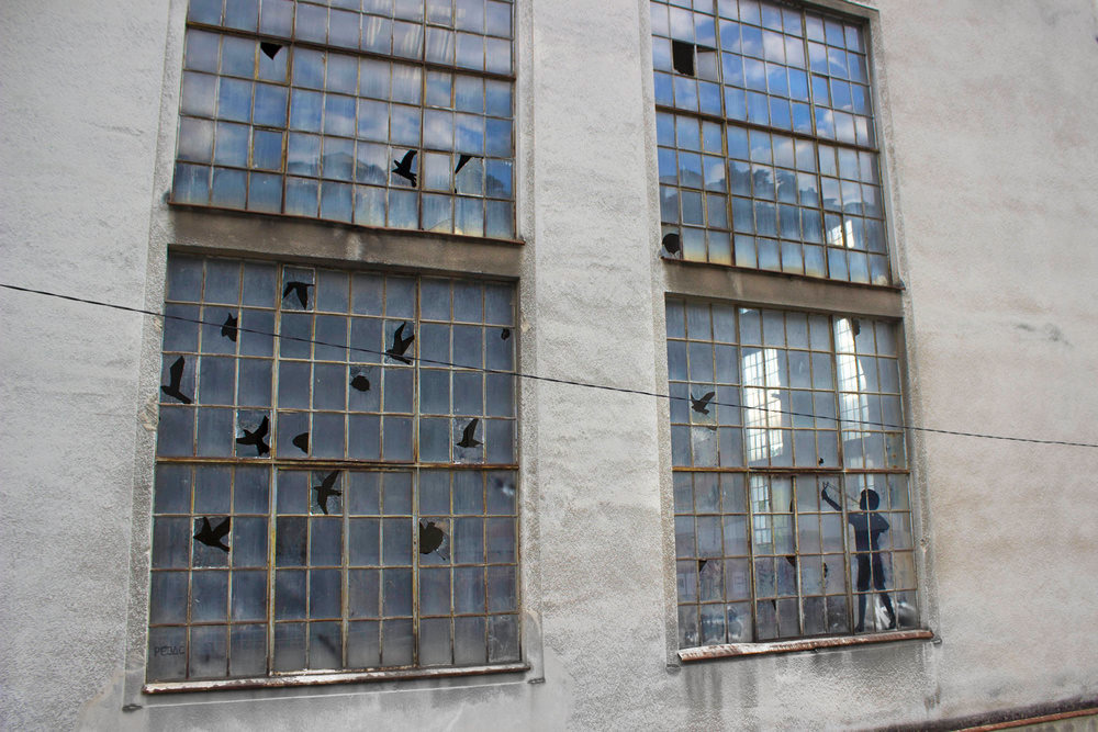 itscolossal:  Birds Appear in the Negative Space of Shattered Windowpanes in a New