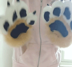 I Got A Feeling Ink Would Have A Tri-color Border Collie Fursuit In His Closet Jammed In Between Whatever