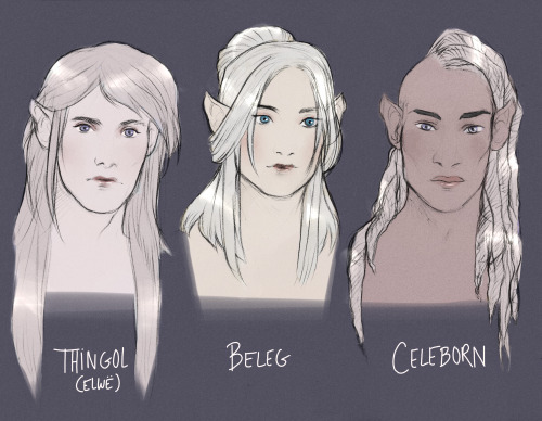scorpionhoney:Some reference sheets on  how I imagine the 3 elven kindredsThese aren’t all the optio