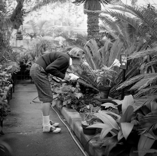 inthedarktrees:Plant of the WeekNina Leen, “Wellesley College,” Life, 1949