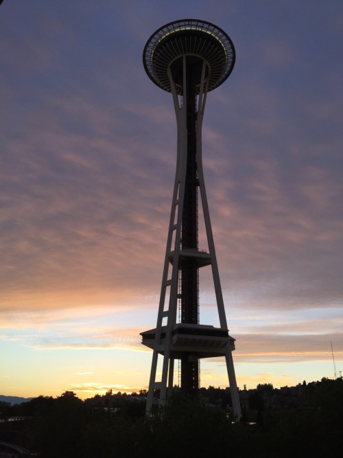 Space Needle sunsets.