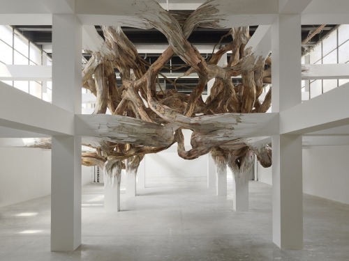 artchipel:  Henrique Oliveira (b.1973, Brazil)  Creating a spectacular and invasive Gordian Knot, Henrique Oliveira plays with Palais de Tokyo’s architecture, allowing a work that combines the vegetal and the organic to emerge. The building itself becomes