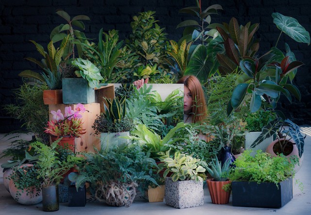 phorbidden:  Vegetal Sceneries by Salmiana – Fubiz™