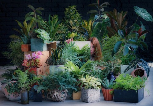 phorbidden:  Vegetal Sceneries by Salmiana – Fubiz™