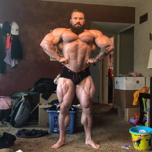topmonsterbody: Seth Feroce