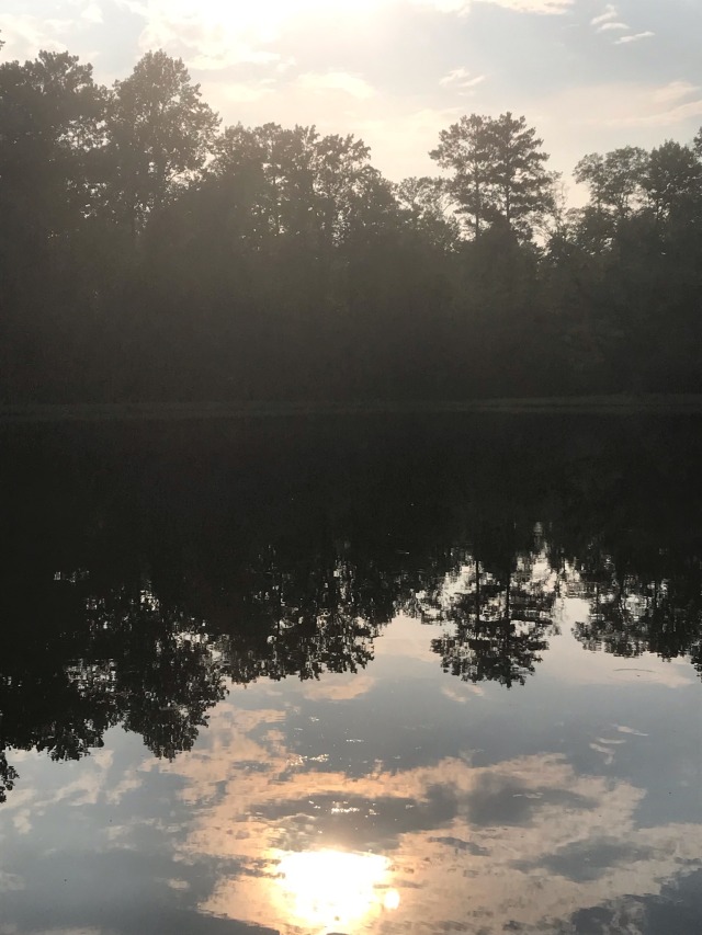 sunlight shining on lake