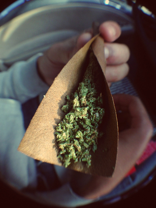 moneygunsweed:  Money Guns Weed