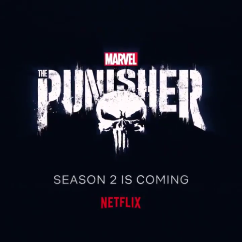 netflixdefenders: Time to reload. The Punisher Season 2 is coming.