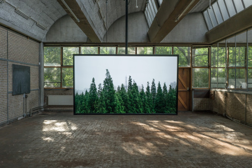 Video still ‘3663 Zhongshan Road (N)’ by Misha de Ridder
‘No Humans - No Animals - No Sound’ curated by Melvin Moti for The One Minutes. Video installation in De School, Amsterdam.
Trailer: https://vimeo.com/179873136