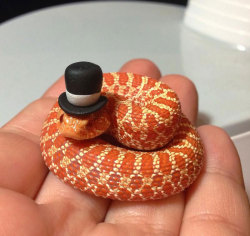 steampunktendencies:  Snakes in Hats 