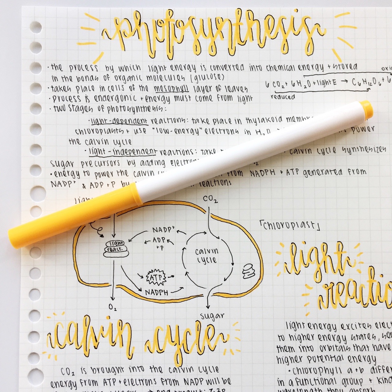 homework notes idea