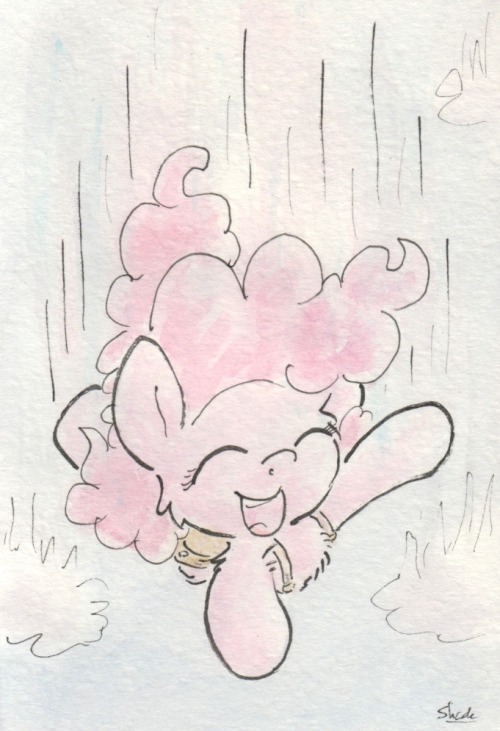 slightlyshade:  I guess skydiving is fun!  x3