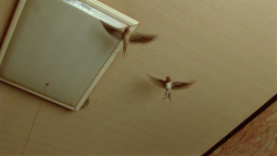 brand-upon-the-brain:  Hanezu (Naomi Kawase, 2011)   &ldquo;Swallows remain a pair, until one of them dies.&rdquo;   