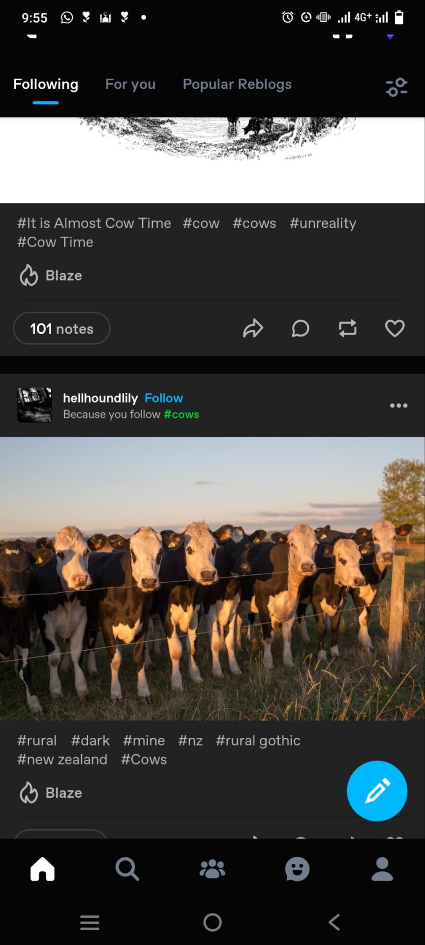Tumblr media