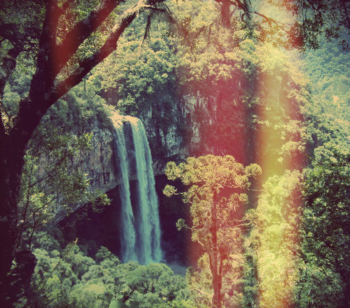 tumblr photo my-love-is-in-your-eyes 0