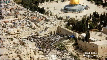 eltayh:  Palestine 
