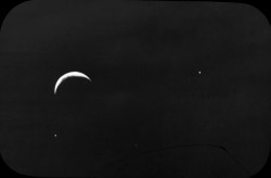 retrofutureground:  Conjunction of Jupiter, Earth’s moon, and Venus. Photographed with the Bruce 10-inch photographic telescope of Yerkes Observatory. Jupiter is nearer to the moon than Venus. 25-08-1902.