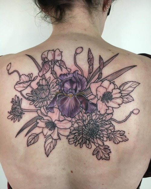 In progress botanical back #iris #iristattoo #camelliatattoo #poppytattoo #chrysanthemumtattoo #bota