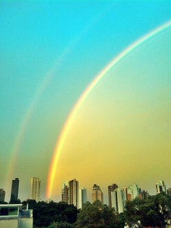 podepa:  01 de janeiro*-* 