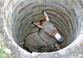 sweettbynature:  One day a farmer’s donkey fell down into a well. The animal cried