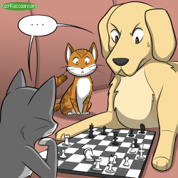 Katswenski:  Truth Is Neither Of Them Really Know How To Play Chess, But The Dog