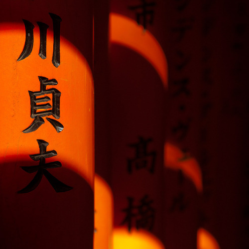 Fushimi Inari taisha lights &amp; shadows, Kyoto, Japan / Japón