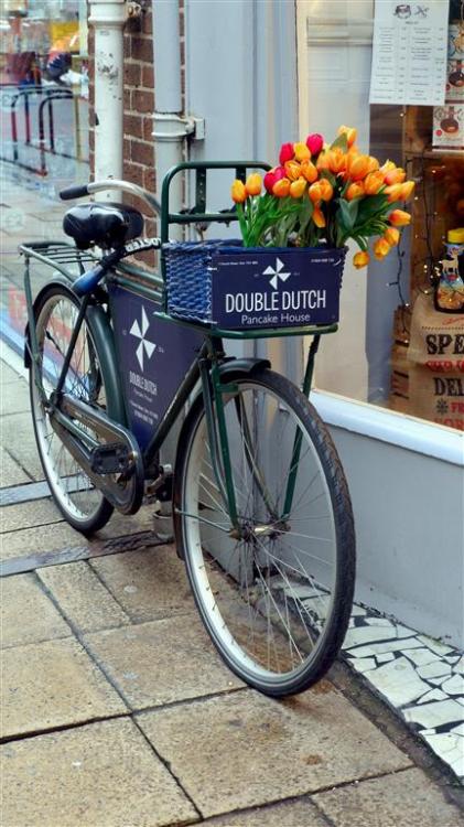 Double Dutch Pancake House Bike.A basket of Tulips.