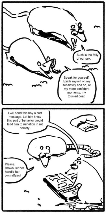 smallrat36wagon: pollyguo: More rat comics rat … 