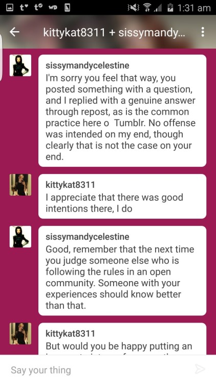 kittykat8311:  This evening just keeps getting better and better.   This woman found her (lovely, and very nonsexual) image reblogged on a porn blog without her permission, and this is the response she got when she asked that it be removed.  Just in