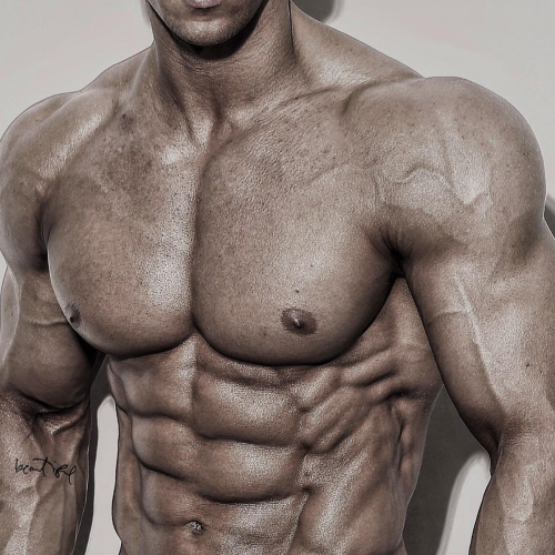 Adonis Files