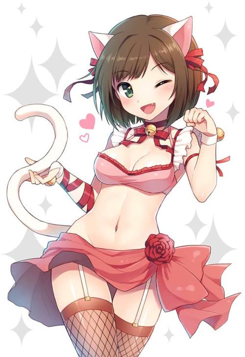 Sexy catgirls and stuff