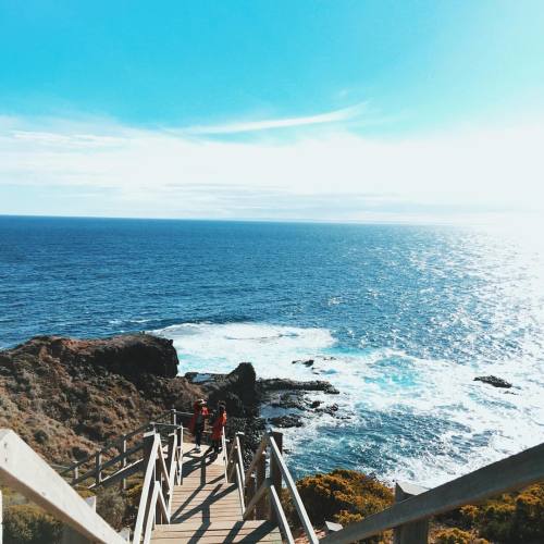 bonus:another road trip(at Cape Schanck Lighthouse)