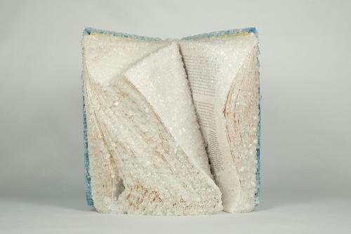 thedesigndome: Discarded Books Changed Into Exquisite Crystallized Sculptures San Francisco-based ar