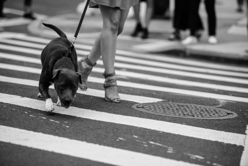 Street Style NYC