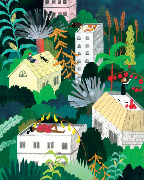sosuperawesome:  Hye Jin Chung, on Tumblr