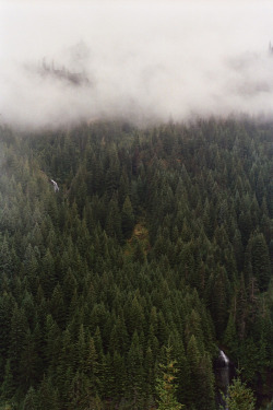 brutalgeneration:  (by Robert Hildebrand) 