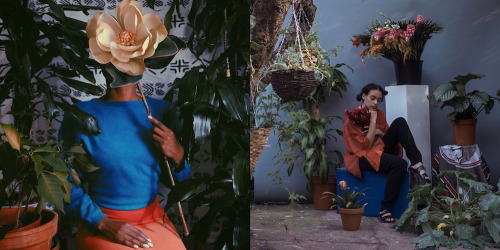 baileyresearch:Nadine Ijewere - Photographer