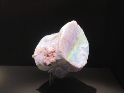 figsandtea:  argyle4eva:  pervocracy:  Plesiosaur vertebra, fossilized as opal.  It doesn’t get cooler than this, folks.  AFKJSLDKFJ NATURE  !!!!