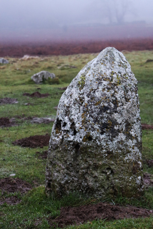 thesilicontribesman: Birkrigg Stone Circle, near Ulverston, Lake District on the Winter Solstice 201