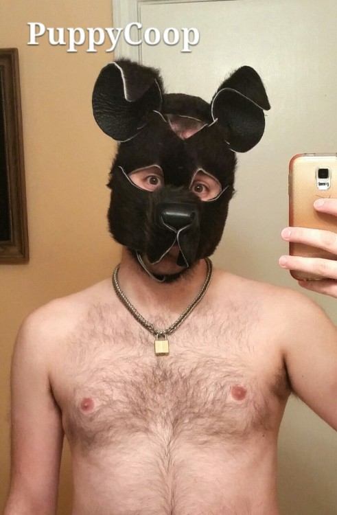 mastersfido:  coopthepup:  Hope everyone had a very MERRY CHRISTMAS! *RUFF I must’ve been a good boy cause master gave me this new handmade chain and lock collar from mrsleather ! I will wear it proudly! *wags  WOof, Coop,  Merry Christmas Wow, beautiful