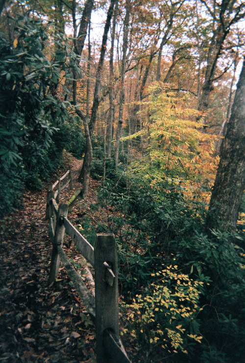 ladempsey:I took this photo with a disposable 35mm camera in Ohiopyle State Park, PA.