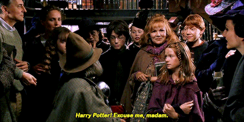 professorlupins: “Ladies and gentlemen, Mr. Gilderoy Lockhart.”Harry Potter and the Chamber of Secre