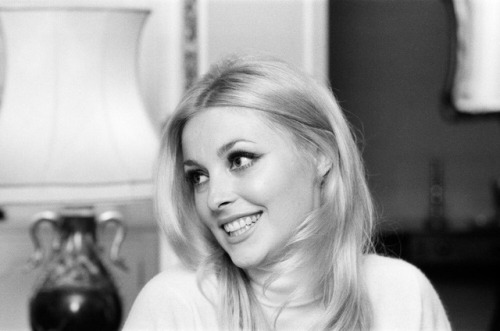 70rgasm:Sharon Tate photographed during an interview in her Belgravia apartment, 1965