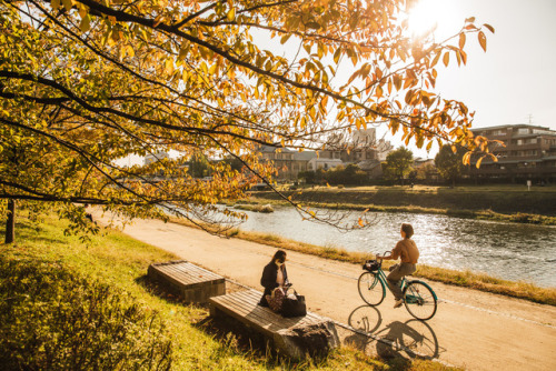 Sunday 22nd October 2017. 15:30 Kyoto Japan.Cycling down the Kamo River today felt so satisfying. I 