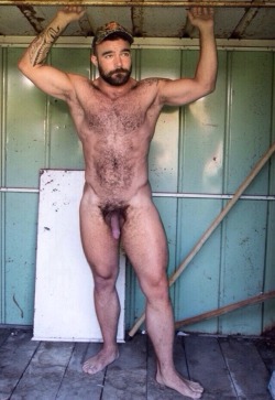 Bears, muscle and hairy fellas