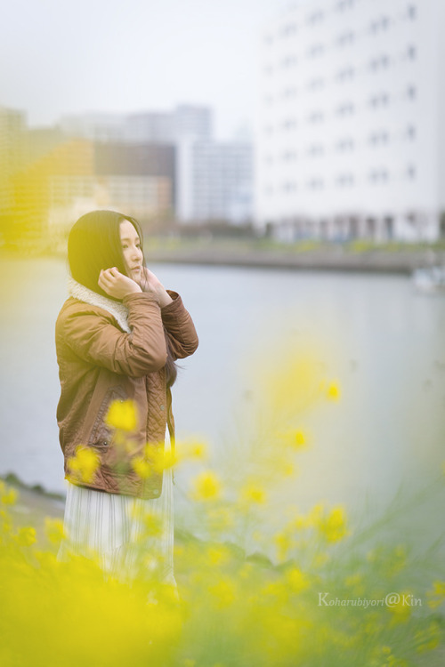 菜の花