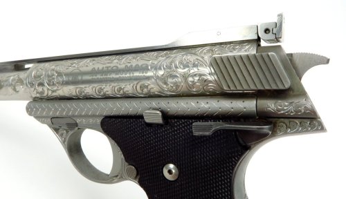 badger-actual:AMT Auto Mag 180, .44AMP.