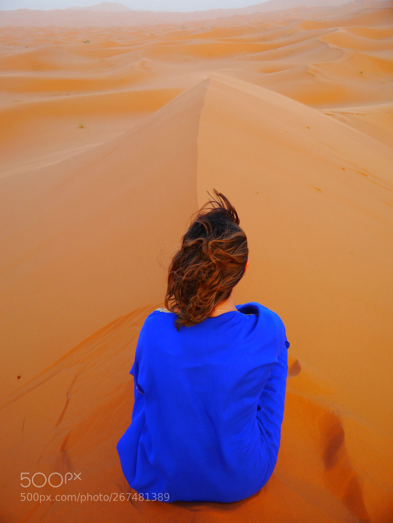 travelless:  Freedom