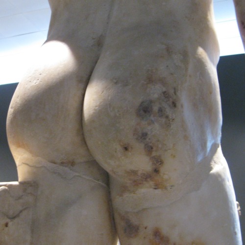 fuckingromans:sherllllock:national gallery, rome: marble butts appreciation#arse gratia artis